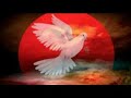 Movimiento Indígena - XURAZU
