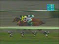 Hipodromo de las Americas - Clasico Esmeralda