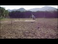 Hipismo Rural - Haras Pégasus
