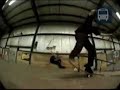 PJ Ladd 411VM Issue #44 (Element) PJ Ladd 411VM Issue #44 (Element)