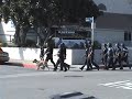 Police chase clips from Los Angeles.