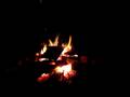 Tadpole's Frog Blog, special fireside edition