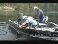 Lake sturgeon caught Lake sturgeon caught