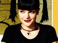 Abby Sciuto + 3 photos de moi Abby Sciuto + 3 photos de moi