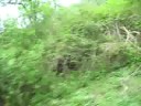 Ooty Ooty