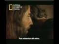 EL EVANGELIO DE JUDAS 9/10