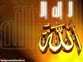 قصة مؤثرهلا اله الا الله محمد رسول اللهالله اكبر