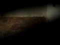 101_0001.MOV