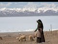 the-23rd-psalmchurch-of-the-messiah-toronto.html