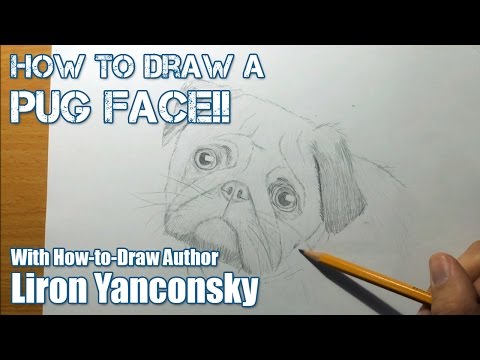 how to draw pugs