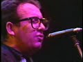 Elvis Costello/King of America(at Tokyo Japan 21.Nov.1987) Elvis Costello/King of America(at Tokyo Japan 21.Nov.1987)