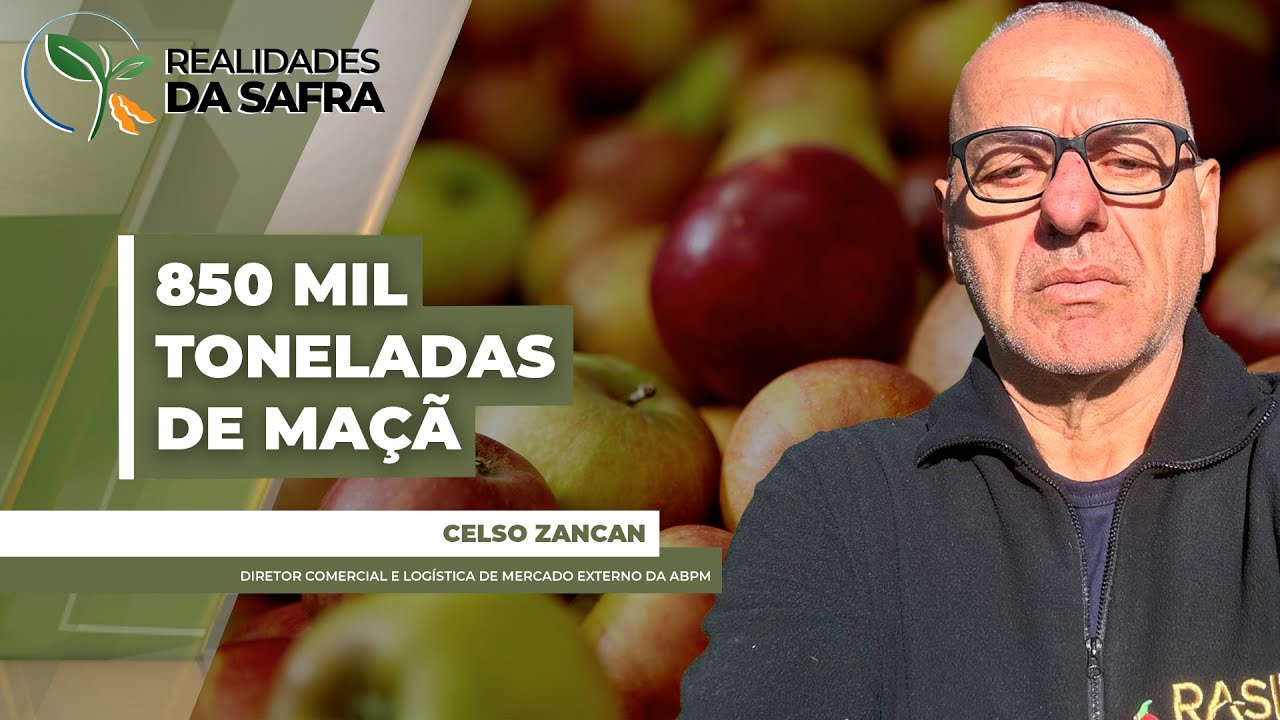 Brasil colheu 850 mil toneladas de maçã em 2025 com grande destaque para a qualidade