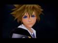 roxas vs sora *epic*♠