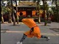 stile della mantide(shaolin)