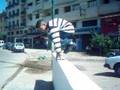 videos de parkour