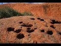 Uluru Walkabout Uluru Walkabout