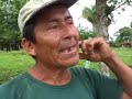 de la coca al cacao