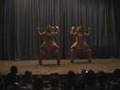 Son Flores  Salsa Show 