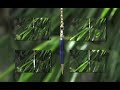 Teishin, Needleless Acupunture