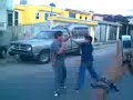 pelea del topo