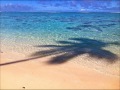 きみのために、あなたのために