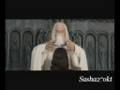 If everyone cared - LOTR