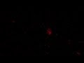 Click here to watch this video Deep Space Anthropods - Parasites that feed on radiation.