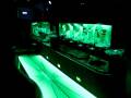 videos de Stretch Lincoln Limousine with Disco Floors for Jimmy Buffett Concert