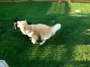Bauer vs. Molly 2