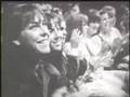 Modern Folk Quartet (MFQ) - This Could Be The Night