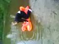 danni on a lobster