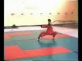 kung fu shaoline . islem 2989 sidali