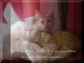 La Chatterie d\ La Chatterie d\