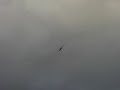 Gaui Hurricane 200 EP Helicopter