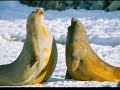 national geographic best pictures