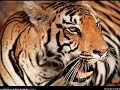 national geographic best pictures