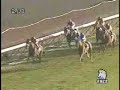 競馬の神動画 競馬必勝法↓http://utun.jp/gZG/