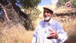 تقرير محمد صياد  قرية قالونيا    حكاية تهجير وحنين عودة إلى أرض مسلوبة 4 5 2016