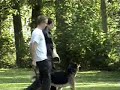 VVVDH PROVINCIAAL KAMPIOENSCHAP dargo vom banholz in C VVVDH PROVINCIAAL KAMPIOENSCHAP dargo vom banholz in C