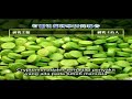 Proses Produksi Cryptomonadales Proses Produksi Cryptomonadales