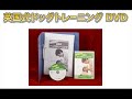 英国式犬のしつけ術 ドッグトレーニングDVD