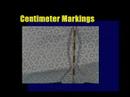 WWMT video 112106
