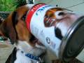videos de Adventures of Ruby - The can