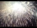 Firework on the 4th of July