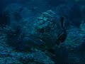 merous-aux-medes.html