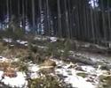 priroda priroda