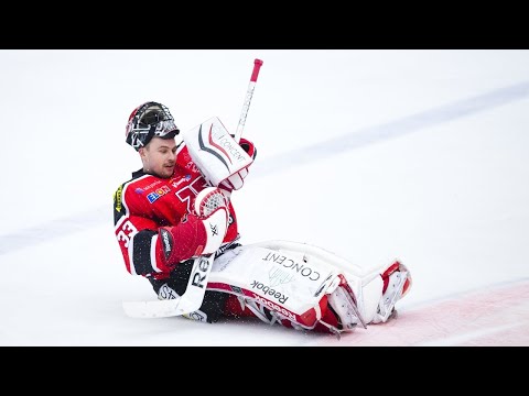 Julius Hudacek's Celebrations