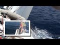 Qbizm yachting teambuilding