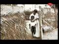 Bilingual Musicians in Sri Lanka