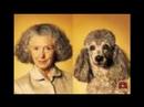 People Who Look Like their Pets People Who Look Like their Pets